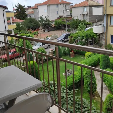 снежа/ Snezha *