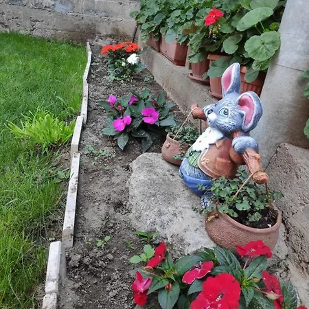 Affittacamere снежа/ Snezha