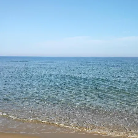 снежа/ Snezha *